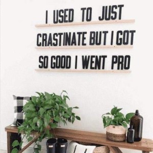 Words on a wall above a decorative shelf contain plants and bottles: I used to just crastinat but I got so good I went pro.