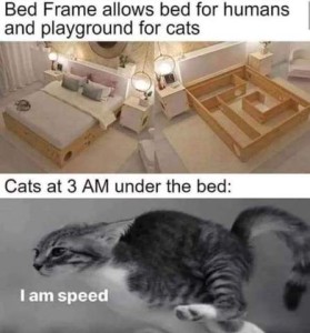 2 photos Top photo shows a bed in a bedroom, all made up, then the same bed without mattresses, revealing a maze built into the base. Caption: Bed frame allows bed for humans and playground for cats. Bottom frame shows a cat in racing mode, looking straight ahead, ears back tail up, front feet behind and between back legs as he says, "I am speed" Caption: Cats at 3:00 a.m. under the bed.
