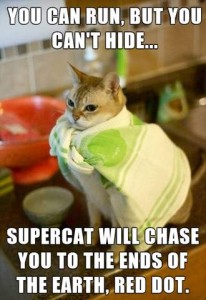 Photo of an orange and white cat sitting on a kitchen counter wearing a white and green dish towel over his shoulders and back. Caption: You can run, but you can't hid...supercat will chase you to the ends of the earth, red dot.