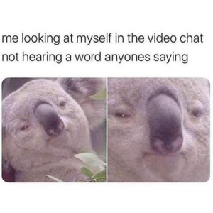 2 photos of a koala's face, looking toward the camera; 1st photo shows him with his held tilted back slightly; second is an extreme closeup. Caption: Me looking at myself in the video chat not hearing a word anyone's saying.