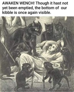 black and white artwork of a woman in a gown, arm over her forehead, laying back on a mat, as if dramatically showing she is not well. All around her are drawn black cats staring down at her, most look angry with wide-open eyes and ears pinned back, some have hackles raised and mouths open. Caption: AWAKEN WENCH! Though it hast no yet been emptied, the bottom of our kibble is once again visible.