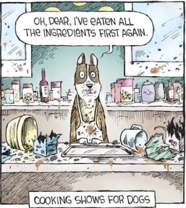 Title: Cooking Shows for Dogs. Cartoon showing a dog standing at a table wearing an apron, surrounded by a huge mess across the table as well as the counter and walls behind him. He is saying, "Oh dear, I've eaten all the ingredients first again."