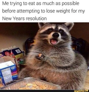 Photo of a fat raccoon sitting on a counter surrounded with food such as pop tarts and chex cereal (or something similar). Caption: Me trying to eat as much as possible before attempting to lose weight for my New Years resolution.