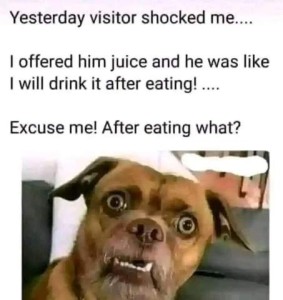 photo of a brown dog, maybe a boxer mix, eyes open really wide as he stares at the camera. Caption: Yesterday visitor shocked me... I offered him jice and he was like I will drink it after eating!... EXCUSE ME! After eating what?