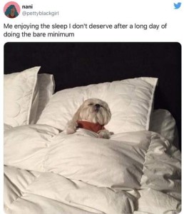 Screenshot of a little white dog sleeping under a white comforter on white pillows; she's on her back, front paws over the top of the comforter, eyes closed. Caption: Me enjoying the sleep I don't deserve after a long day of doing the bare minimum.