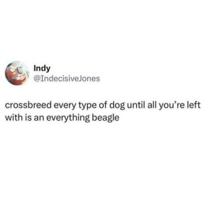 Screenshot of a social media post by "Indy" - text only - crossbreed every type of dog until all you're left with is an everything beagle.