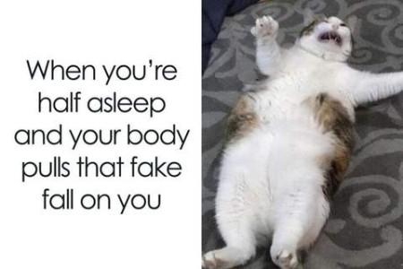 Photo of a white and gray cat laying on his back, mouth open, eyes partly open, front legs stretched wide, toes extended. Caption: When you're half asleep and your body pulls that fake fall on you.