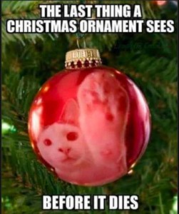 Photo of a red ornament on a Christmas tree with a cat's face and raised paw reflected in it. Caption: The last thing a Christmas ornament sees before it dies.