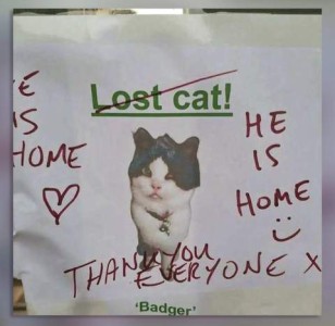 Lost cat sign, showing a black and white cat's photo and his name, Badger. Lost cat has a red line through it, and, all around the photo are the words in red: "He is home!" "He is home!" "Thank you everyone!"