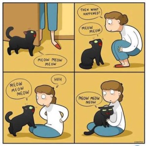4 frames of a cartoon involving a woman and a little black cat. 1st frame cat is looking up at her, saying "Meow Meow Meow" 2nd frame woman is squatted down to cat's level and asks the cat, "Then what happened?" to which the cat responds, looking at her intently, "Meow meow." 3rd frame she is sitting on the floor, cross-legged, and cat has his front paws on her knees, looking into her face, saying, "Meow meow meow" to which she replies, "Huh" 4th frame she the cat is on her lap with a relaxed and satisfied expression as she pets his head, he says, "Meow meow meow"