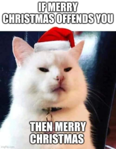 A white cat with a grumpy look on his face, eyes, half slittle, wearing a Santa hat. Caption: If Merry Christmas offends you, then Merry Christmas.