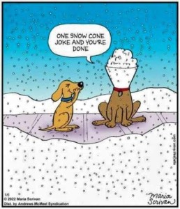 Cartoon of 2 dogs in the snow. One dog is wearing an e-collar that is full of snow. The other is snickering, paw over his mouth and eyes closed. 1st dog is saying, "One more snow cone joke and you're done."