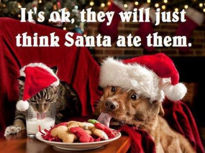 Photo of a dog and a cat sitting at a table wearing Santa hats. The dog is about to take a Christmas cookie off of a plate while the cat is drinking out of the milk glass next to them. Caption: It's ok, they will just think Santa ate them!