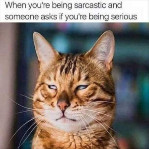 Closeup photo of a tabby cat's face, eyes slitted and white as if doing a major eyeroll. Caption: When you're being sarcastic and someone asks if you're serious.