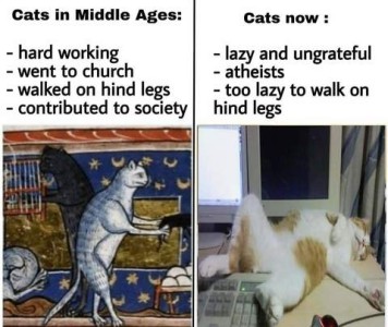 2 frames, one is a colored drawing of cats on their hind legs, being busy (though I can't tell what they're doing), with the caption Cats in the Middle Ages: hard working - went to church - walked on hind legs - contributed to society. Second frame shows a photo of a white and orange cat laying spread out on his back, rear feet resting on a computer keyboard, sleeping, with the caption Cats Now: lazy and ungrateful - atheists - too lazy to walk on hind legs.