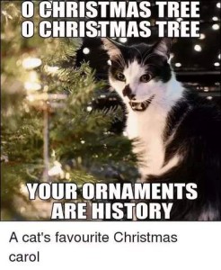 A black and white cat sitting with his mouth open as if speaking or singing; there is a brightly lit Christmas tree in the background. Caption: O Christmas tree, o Christmas tree, your ornaments are history.