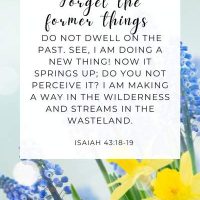 Forget the former things. Do not dwell on the past. See, I am doing a new thing! Now it springs up; do you not perceive it? I am making a way in the wilderness and streams in the wasteland. Isaiah 43:18-19