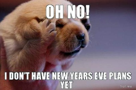 Photo of an otter (or similar animal) with a paw doing a face-palm gesture. Caption: OH NO! I don't have new years eve plans yet!