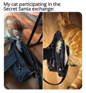 2 frames showing an orange and white cat and a woman's black purse. In the first frame the cat has a dead mouse in his mouth, in the second frame he's walking away and the mouse is laying on top of the purse. Caption: My cat participating in the Secret Santa exchange