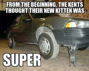 Photo of a dark gray car in a garage, front end lifted as if on a jack. At the front is a matching kitten on his hind legs, front paws on the bottom of the bumper as if holding it up. Caption: from the beginning, the Kents thought that their new kitten was SUPER.