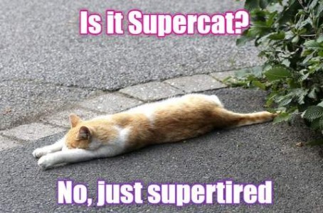 An orange and white cat is laying on some pavement, stretched out and sleeping. Caption: Is it Supercat? No, just supertired.
