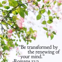 "Be transformed by the renewing of your mind." Romans 12:2