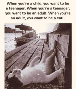 Photo of a cat laying in the sun, on his back, on a dock. There is a boat tied up at the far end. Caption: When you're a child, you want to be an adult. When you're an adult, you want to be a cat.