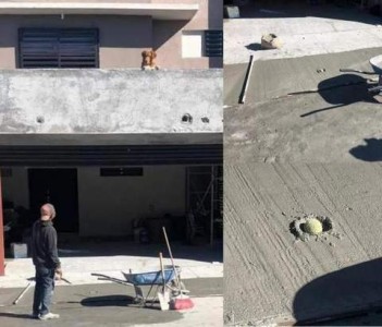 2 photos: on the left is dog on a 2nd storey balcony looking down at a construction worker who spreading fresh cement; the man is looking back up at the dog. 2nd photo shows wet cement with a tennis ball embedded into it.