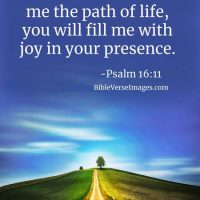 You make known to me the path of life, you will fill me with joy in your presence. Psalm 16:11