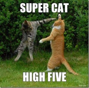 A gray tabby and an orange and white cat are standing on their hind legs on a lawn with shrubbery behind them. The orange cat has his right front leg in the air, balanced back on his tail. The tabby cat has both front legs extended, one toward the other cat, the other extended to his right, head tilted, and one hind leg raised off the ground, looking like a kung fu kitty. Caption: Super cat high five