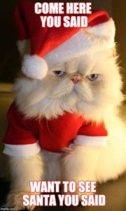 A flat-faced white cat wearing a Santa outfit and looking disgusted. Caption: Come here, you said. Want to see Santa, you said.