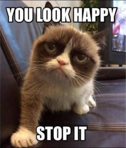 Grumpy Cat clone sitting crouched on a leather davenport looking at whoever is holding camera, with the caption, "You look happy. Stop it."