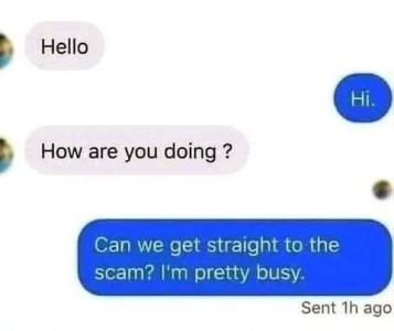 Text conversation: Hello. Hi. How are you doing? Can we get straight to the scam? I'm pretty busy.