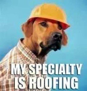 Headshot photo of a brown dog wearing a brown plaid shirt and a yellow hard hat in front of a solid blue background. Caption: My specialty is roofing.