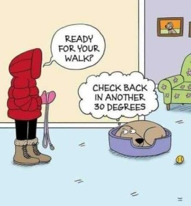 Cartoon of someone in a read puffy jacket and boots holding a leash, asking her dog, "Ready for your walk?" The brown dog is curled up in his doggie bed with a thought bubble above his head that says, "Check back in another 30 degrees."