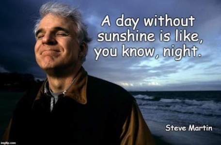 Photo of Steve Martin, eyes closed, smiling, the ocean behind him. With his quote, "A day without sunshine is like, you know, night."