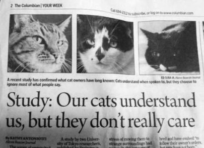 Photo of part of a newspaper page from The Columbian showing 3 headshots of cats with the headline, "Study: Our cats understand us, but they don't really care."