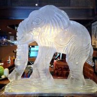 A huge elephant