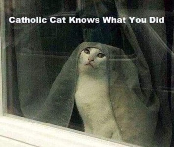 Photo of a white cat, taken from outside, sitting on a windowsill with the dark-colored curtain draped over his head like a veil. Caption: Catholic Cat knows what you did.