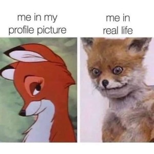 photo of a cute little cartoon fox, looking coy and adorable, with the words, "Me in my profile picture" and a picture of a horrible taxidermy job of a fox with eyes way too wide open, scraggly fur and a crookedly sealed mouth with the words, "Me in real life."