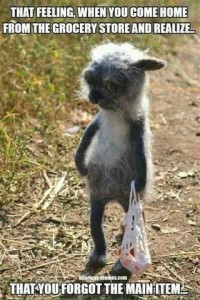Photo of a scruffy little gray and white dog, standing on his hind legs with his right front paw just below his waist as if it were going into his pocket, and his left from paw holding what looks to be a plastic grocery bag. His head is down, ears are back, and eyes are look up toward the camera. Caption: That feeling, when you come home from the grocery store and realize...that you forgot the main item."