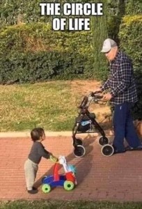 Photo of a toddler pushing a little learn-to-walk toy along the sidewalk past an elderly man pushing a wheeled walker, and they are looking at each other. Caption: The circle of life.