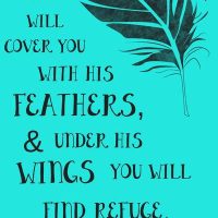 He will cover you with His feathers, and under His wings you will find refuge. Psalm 91:4
