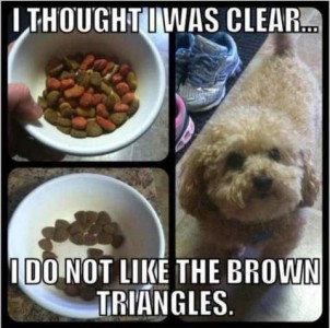 3 photos: one of a bowl of dog food with different colored and shaped pieces; bowl of only the little brown pieces in the bottom of the bowl; a fluffy little white dog of a poodle or bichon type. Caption: I thought I was clear...I do not like the brown triangles.