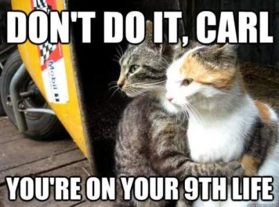 A gray tabby cat is sitting next to a calico cat with his arms around her shoulders. Caption: Don't do it, Carl, you're on your 9th life.