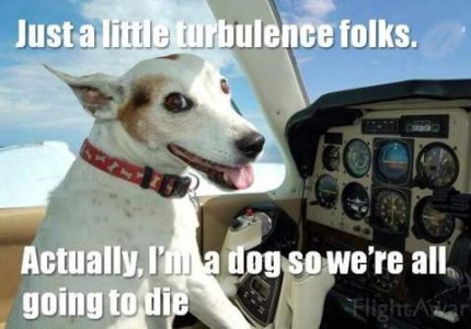 Photo of a mostly-white short-haired terrier type dog in the cockpit of an airplane, front paws on the instrument panel. He is looking back over his right shoulder at the camera with his mouth open as if panting. Caption: Just a little turbulence, folks. Actually, I'm a dog so we're all going to die.