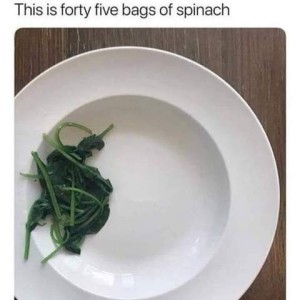 Photo of a white shallow soup bowl with a tiny amount of cooked spinach leaves on one side. Caption: This is forty-five bags of spinach.