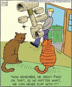 Cartoon of a man carrying an elaborate cat stand into the house through an open door. A brown cat is saying to an orange striped cat, "Now remember, he spent $400 on that, so no matter what, we can never play with it."
