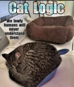 Title: Cat Logic Caption: We lowly humans will never understand them. Photo of an empty cat bed in the background, and a gray tabby cat sleeping in a dust pan in the foreground.
