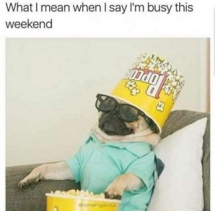 Photo of a pug dog leaning back in the corner of a chair, pillow behind his back, right front leg along the arm, wearing a green shirt and glasses with an upside-down popcorn carton on his head. His left paw is laying atop the popcorn in another popcorn carton. Caption: What I mean when I say I'm busy this weekend.